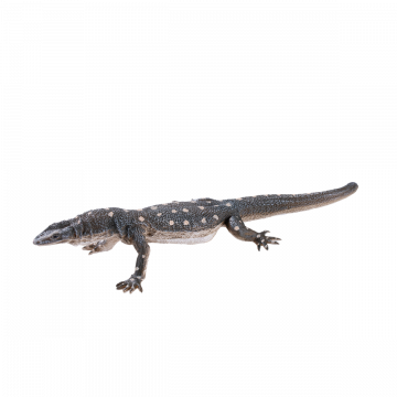 Mojo Wild Life Lézard pérentile 381061