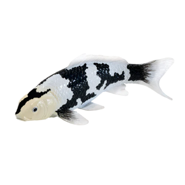Mojo Farmland Carpe Koi - Shiro Utsuri Koi (noir et blanc) 381102