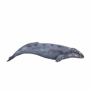 Mojo Sea Life Baleine grise 387280