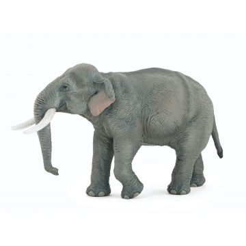 Papo Wild Life Éléphant d'Asie 50131