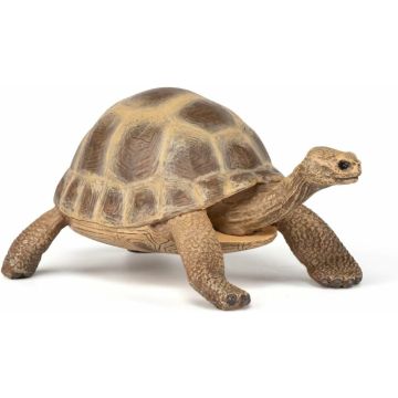 Papo Wild Life tortue d'hermann 50264