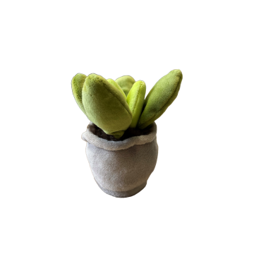Take Me Home plante en peluche Lard Plant 12-17cm 660572