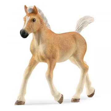 Schleich Horse Club Poulain Haflinger 13951