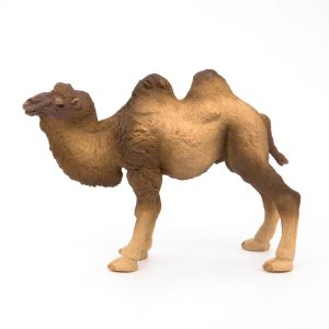 Papo Wild Life Bactrische Kameel 50129