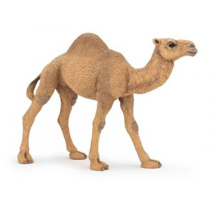 Papo Wild Life Dromedaris 50151