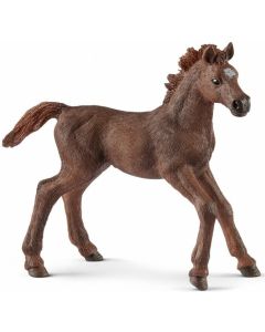 Schleich 13857 poulain pur sang anglais