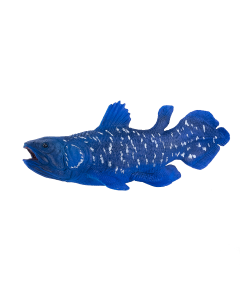 Mojo Sea Life Cœlacanthe 381050
