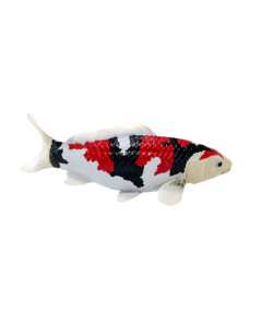 Mojo Farmland Carpe Koï - Showa Sanshoku Koi (tricolore) 381103