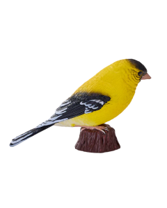 Mojo Farmland Américain Bouvreuil 381111