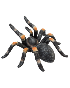 Mojo Wild Life Tarentule aux genoux rouges 387213