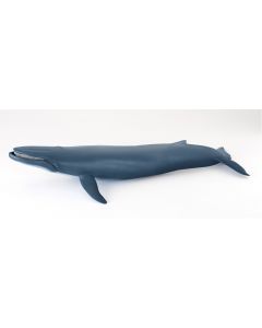 Papo Wild Life Baleine bleue 56037