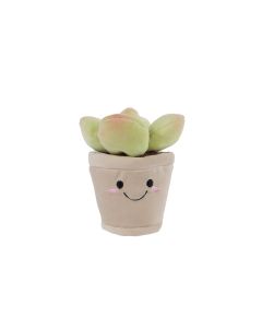 Take Me Home Plante Verte Peluche S 13 cm 661167