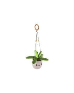 Take Me Home Plante Suspendue L Peluche Succulente 24 cm 661179