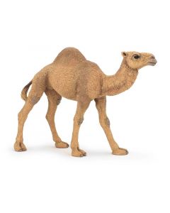 Papo Wild Life Dromadaire 50151