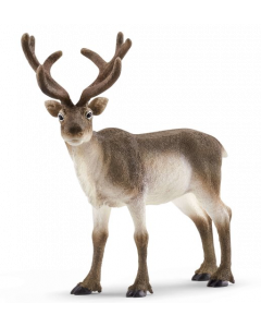 Schleich Wild Life 14837 Reindeer Schleich Wild Life 14837 Reindeer