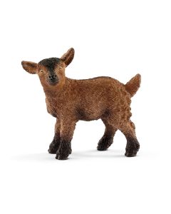 Schleich 13829 Chevreau