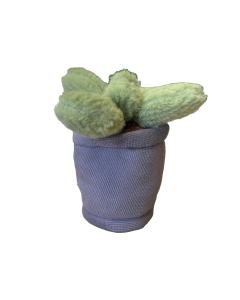 Take Me Home plante en peluche Cactus violet pot 12-17cm 660620 Take Me Home plante en peluche Cactus violet pot 12-17cm 660620